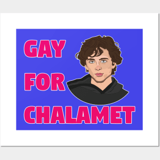 Gay For Chalamet Posters and Art